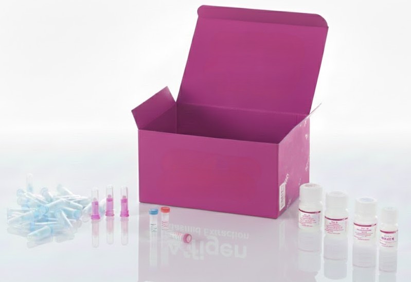 [0313-HNT961] Tumores de cabeza y cuello, 48 casos en 96 núcleos (1,5 mm), conjunto 1